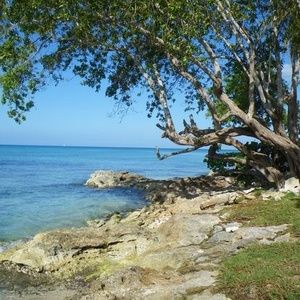 Meet your Posher, Lynda